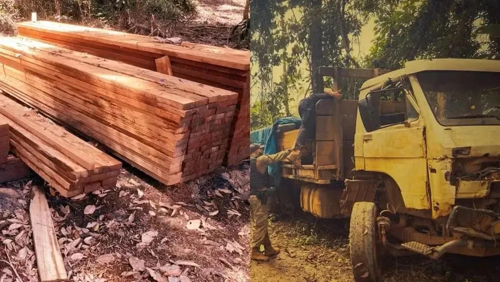 PF destrói garimpos clandestinos e serrarias ilegais dentro da Terra Indígena Kayapó, no sul do Pará